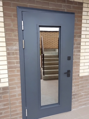 Металлическая дверь со стеклом Металлическая дверь со стеклом